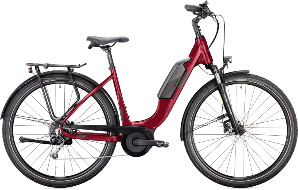 E-Trekking morrison e 6.0